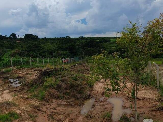 #1 - Casas para Venda em Limeira - SP - 1