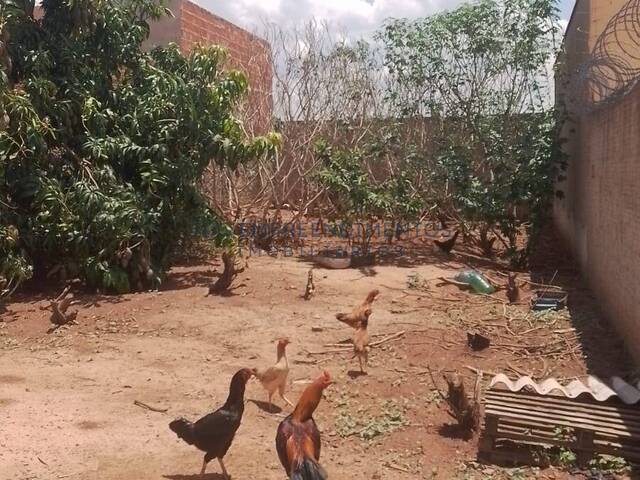 #84 - Terrenos para Venda em Limeira - SP - 3