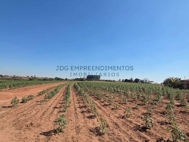 #95 - Sítios e Fazendas para Venda em Limeira - SP - 3