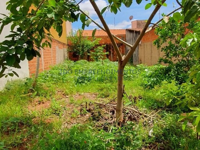 #102 - Terrenos para Venda em Limeira - SP - 1