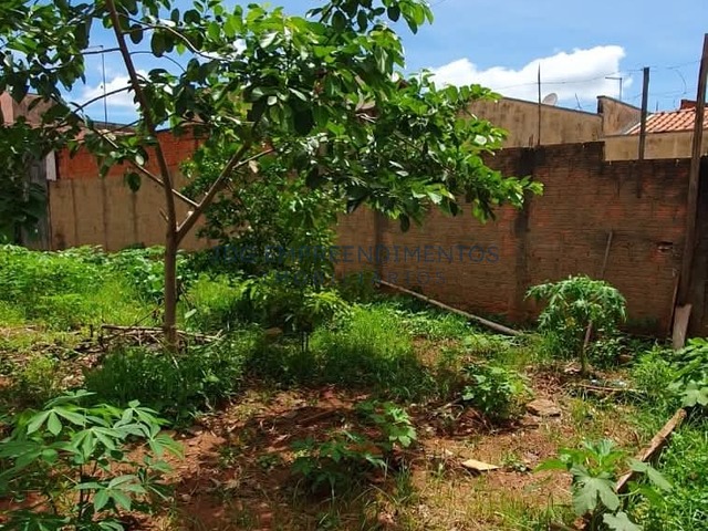 #102 - Terrenos para Venda em Limeira - SP - 2