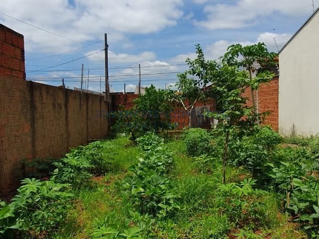 #102 - Terrenos para Venda em Limeira - SP - 3